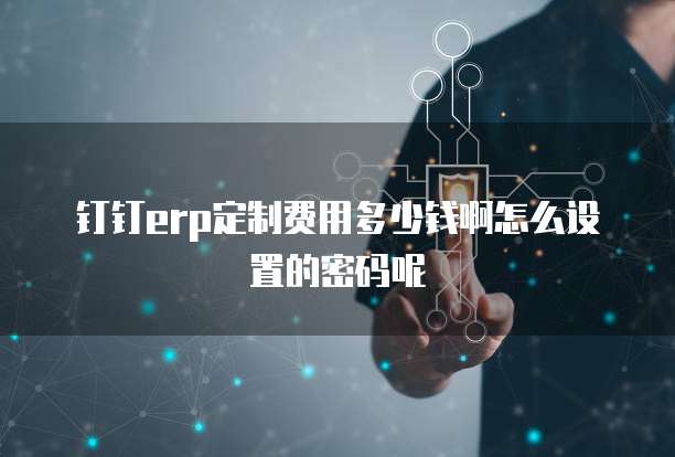 钉钉erp定制费用多少钱啊怎么设置的密码呢