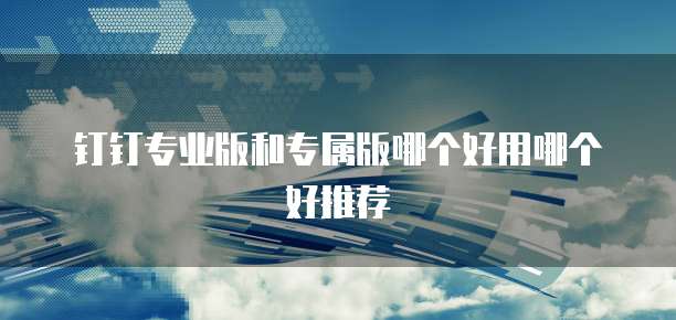钉钉专业版和专属版哪个好用哪个好推荐