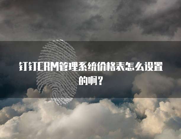钉钉CRM管理系统价格表怎么设置的啊?