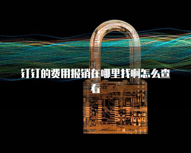 钉钉的费用报销在哪里找啊怎么查看