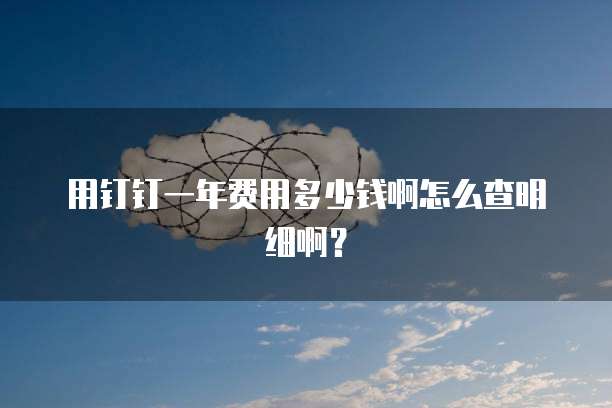 用钉钉一年费用多少钱啊怎么查明细啊?