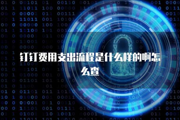钉钉费用支出流程是什么样的啊怎么查
