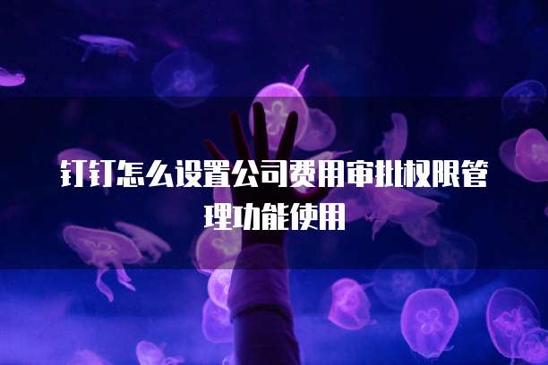 钉钉怎么设置公司费用审批权限管理功能使用