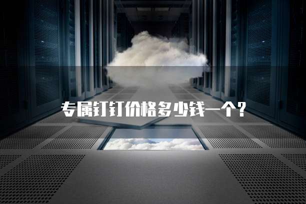 专属钉钉价格多少钱一个？