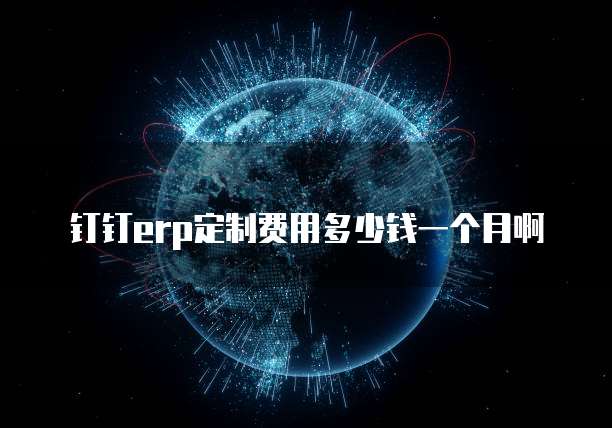 钉钉erp定制费用多少钱一个月啊