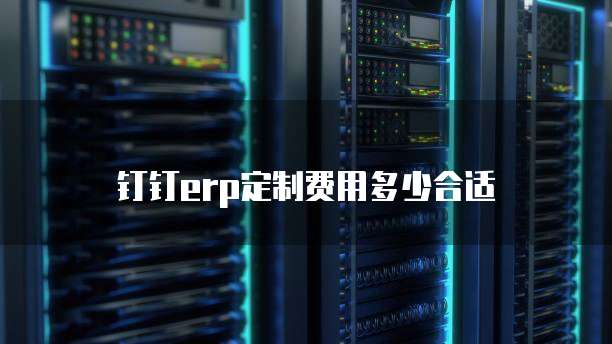 钉钉erp定制费用多少合适