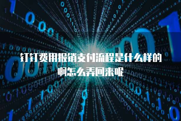 钉钉费用报销支付流程是什么样的啊怎么弄回来呢