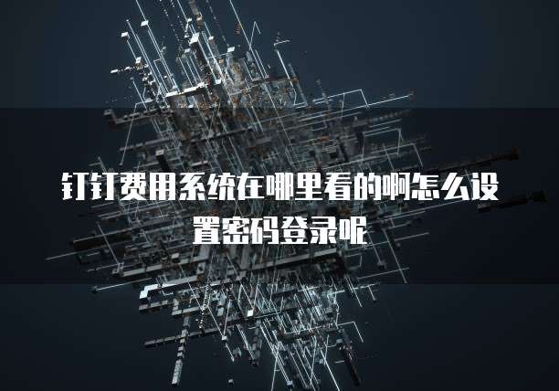 钉钉费用系统在哪里看的啊怎么设置密码登录呢