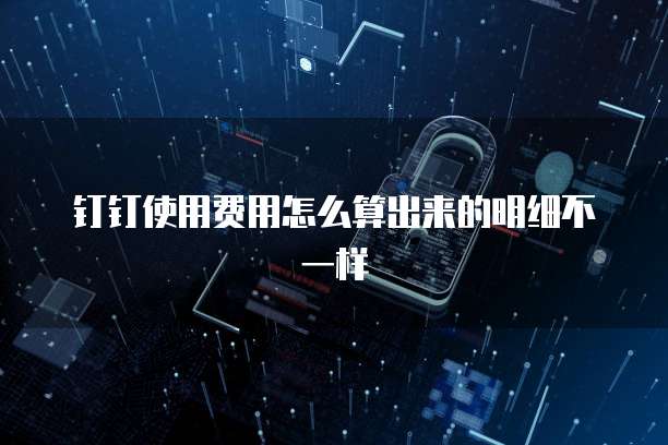 钉钉使用费用怎么算出来的明细不一样