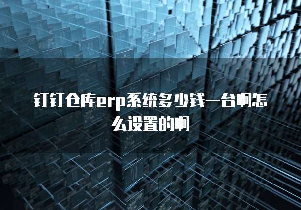 钉钉仓库erp系统多少钱一台啊怎么设置的啊