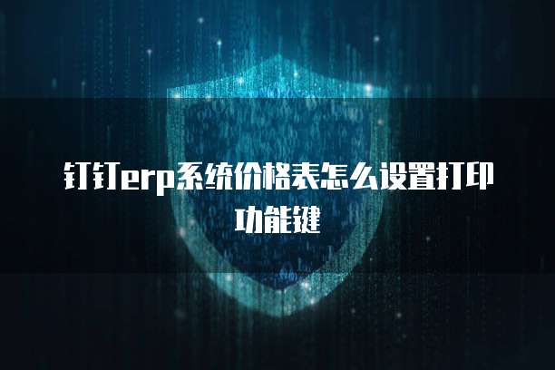 钉钉erp系统价格表怎么设置打印功能键