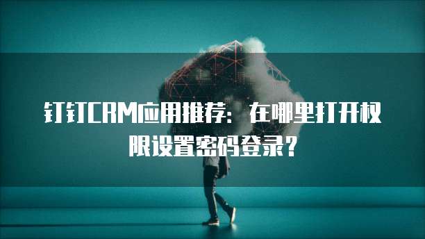钉钉CRM应用推荐:在哪里打开权限设置密码登录?