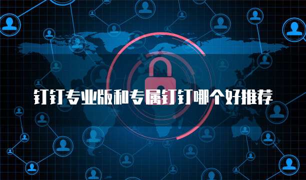 钉钉专业版和专属钉钉哪个好推荐