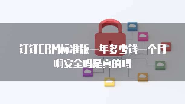 钉钉CRM标准版一年多少钱一个月啊安全吗是真的吗