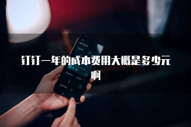 钉钉一年的成本费用大概是多少元啊