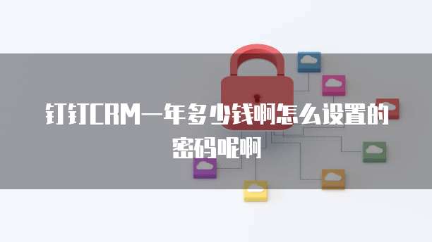 钉钉CRM一年多少钱啊怎么设置的密码呢啊