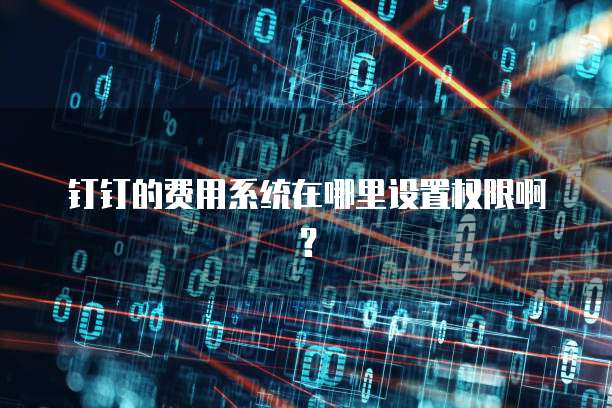 钉钉的费用系统在哪里设置权限啊?