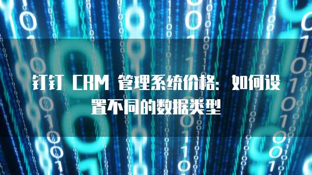 钉钉 CRM 管理系统价格:如何设置不同的数据类型