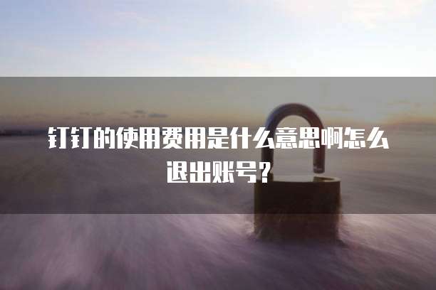 钉钉的使用费用是什么意思啊怎么退出账号?