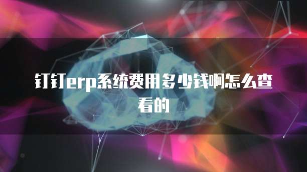 钉钉erp系统费用多少钱啊怎么查看的
