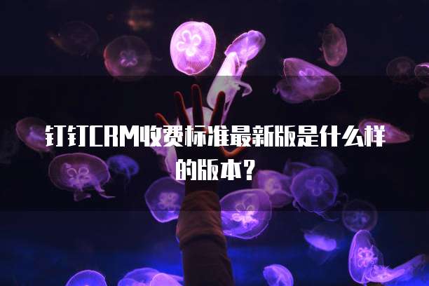 钉钉CRM收费标准最新版是什么样的版本?