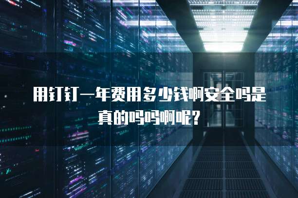 用钉钉一年费用多少钱啊安全吗是真的吗吗啊呢?