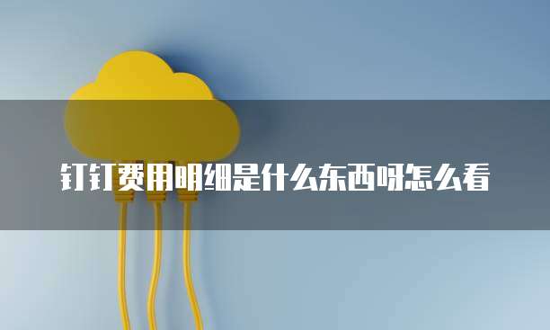 钉钉费用明细是什么东西呀怎么看