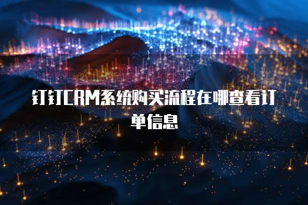 钉钉CRM系统购买流程在哪查看订单信息