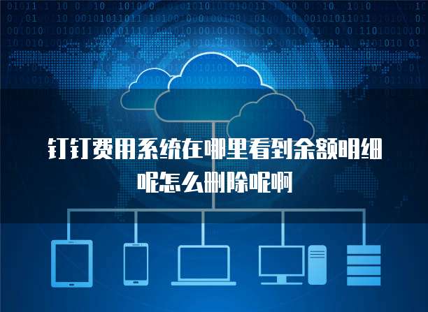 钉钉费用系统在哪里看到余额明细呢怎么删除呢啊