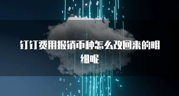 钉钉费用报销币种怎么改回来的明细呢