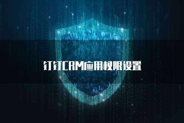钉钉CRM应用权限设置