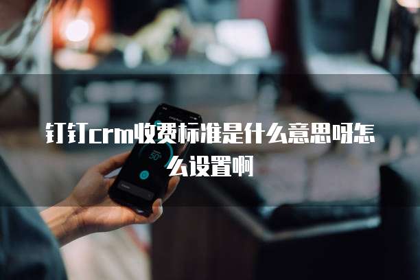 钉钉crm收费标准是什么意思呀怎么设置啊