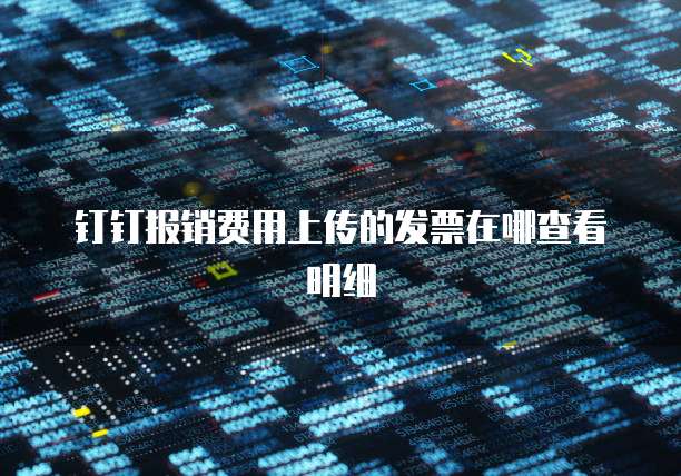 钉钉报销费用上传的发票在哪查看明细