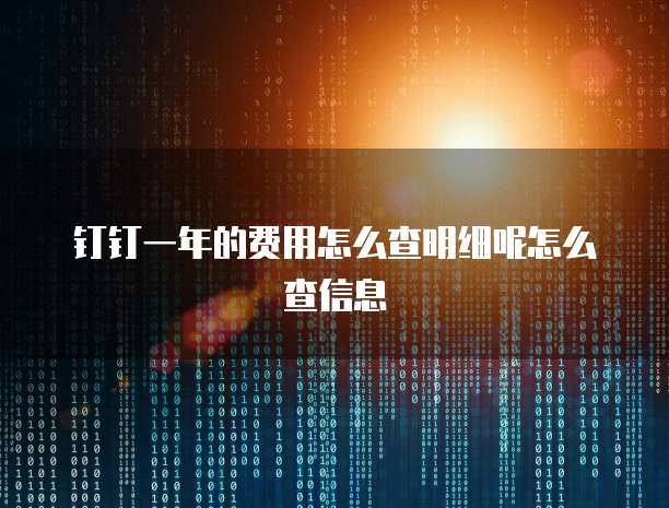 钉钉一年的费用怎么查明细呢怎么查信息