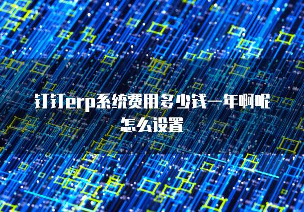 钉钉erp系统费用多少钱一年啊呢怎么设置