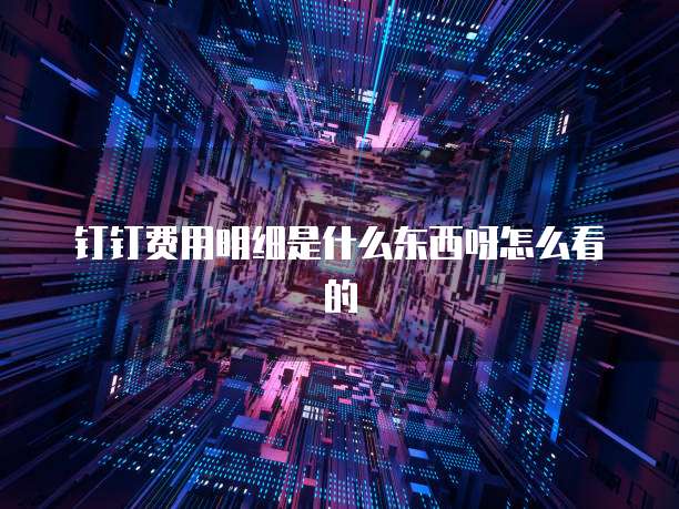 钉钉费用明细是什么东西呀怎么看的