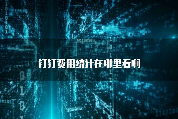 钉钉费用统计在哪里看啊