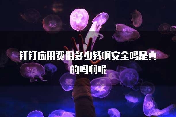 钉钉应用费用多少钱啊安全吗是真的吗啊呢