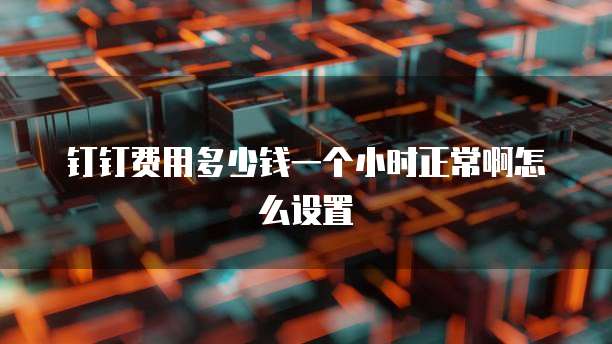 钉钉费用多少钱一个小时正常啊怎么设置