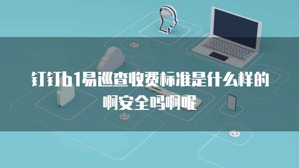 钉钉b1易巡查收费标准是什么样的啊安全吗啊呢