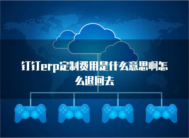 钉钉erp定制费用是什么意思啊怎么退回去
