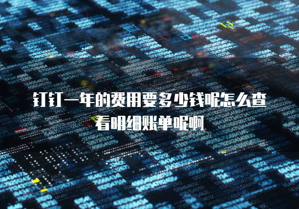 钉钉一年的费用要多少钱呢怎么查看明细账单呢啊