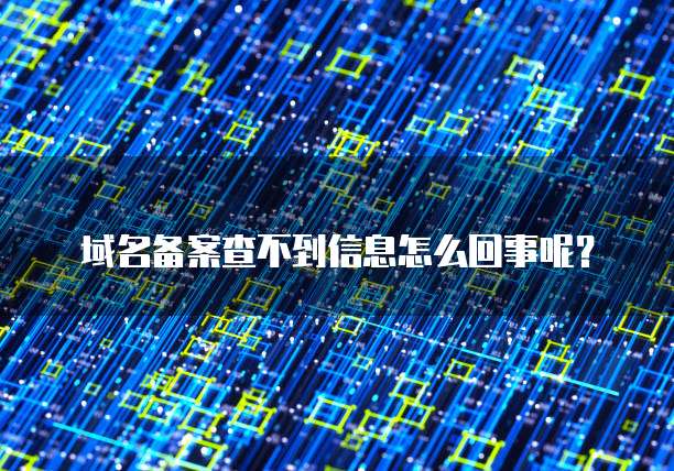 钉钉高级认证标准版和专业版区别在哪里