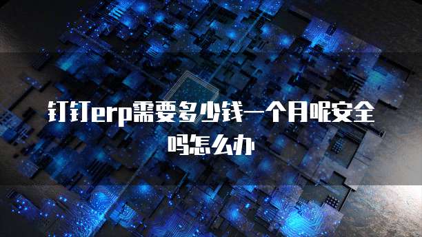 钉钉erp需要多少钱一个月呢安全吗怎么办