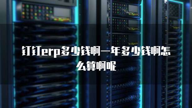 钉钉erp多少钱啊一年多少钱啊怎么算啊呢