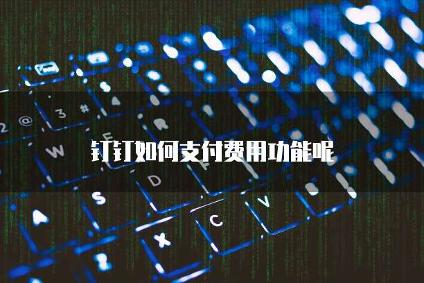 钉钉如何支付费用功能呢