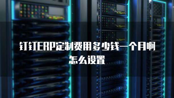 钉钉ERP定制费用多少钱一个月啊怎么设置