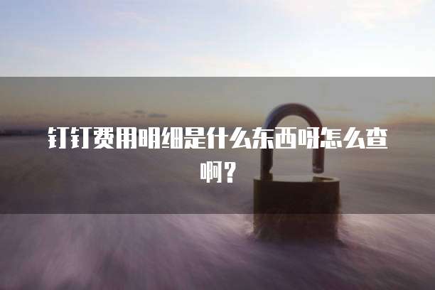 钉钉费用明细是什么东西呀怎么查啊?