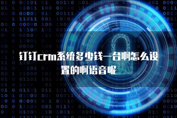 钉钉crm系统多少钱一台啊怎么设置的啊语音呢