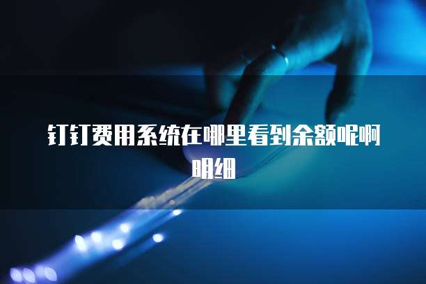 钉钉费用系统在哪里看到余额呢啊明细